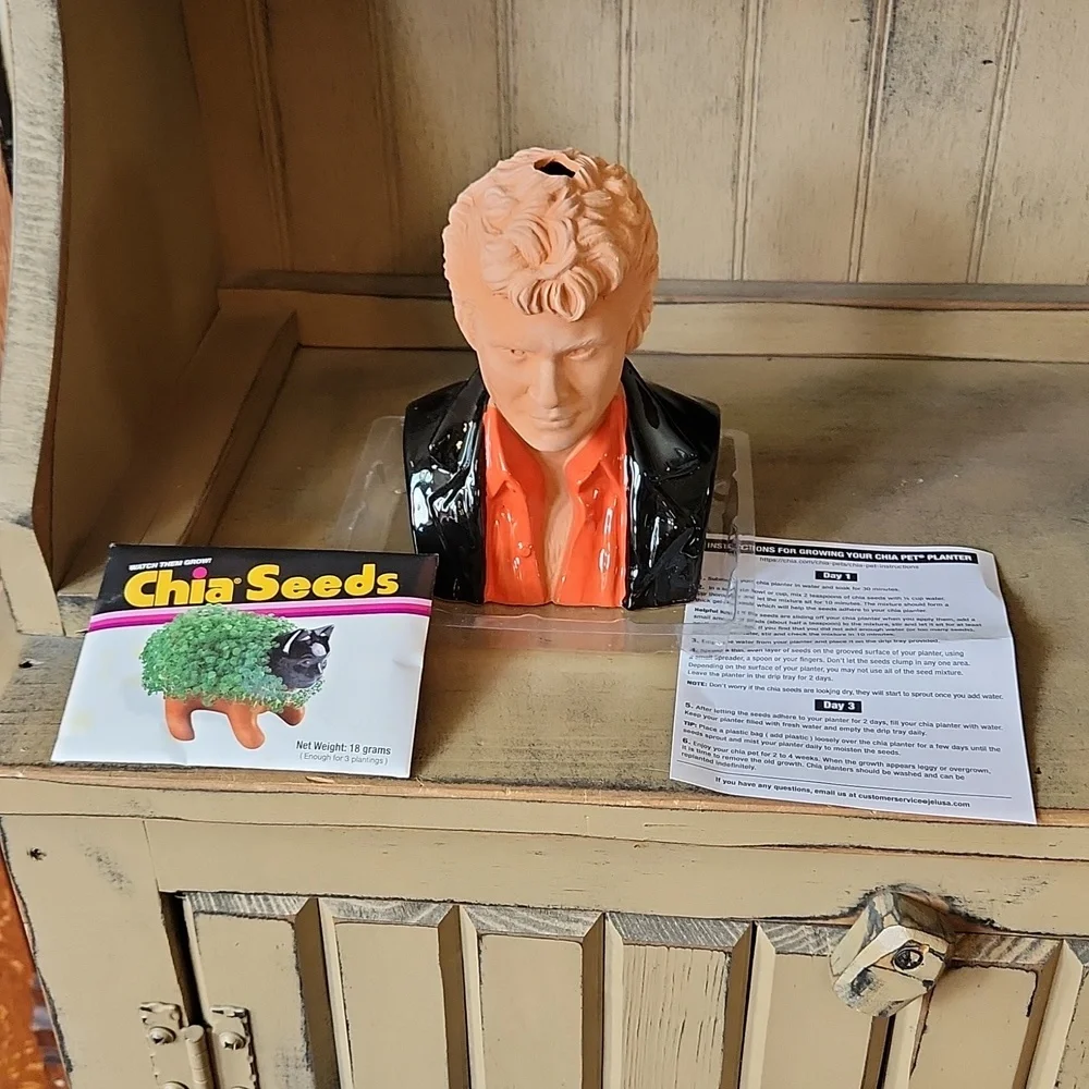 Hasselhoff Chia Pet